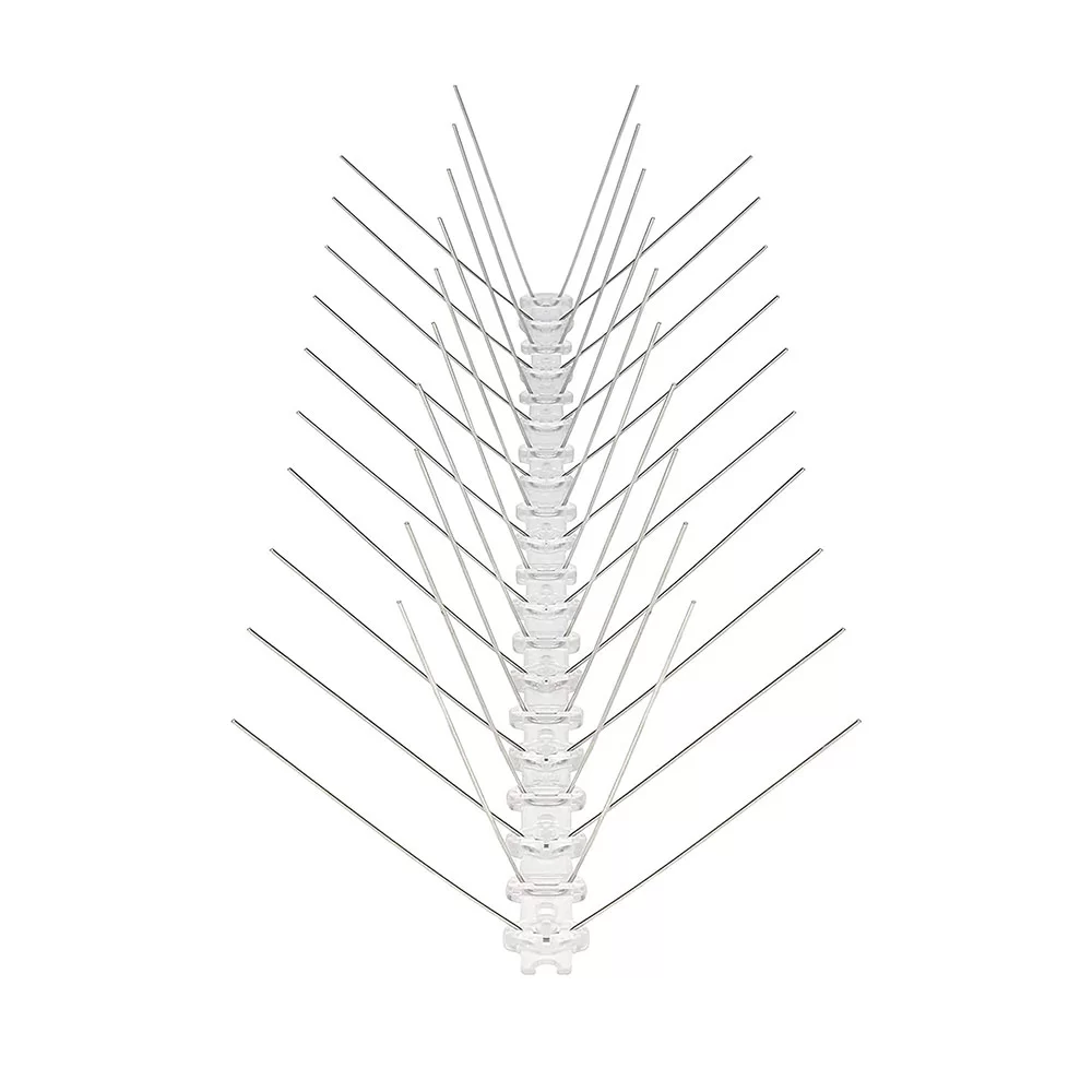 Anti Bird Spikes en acier inoxydable