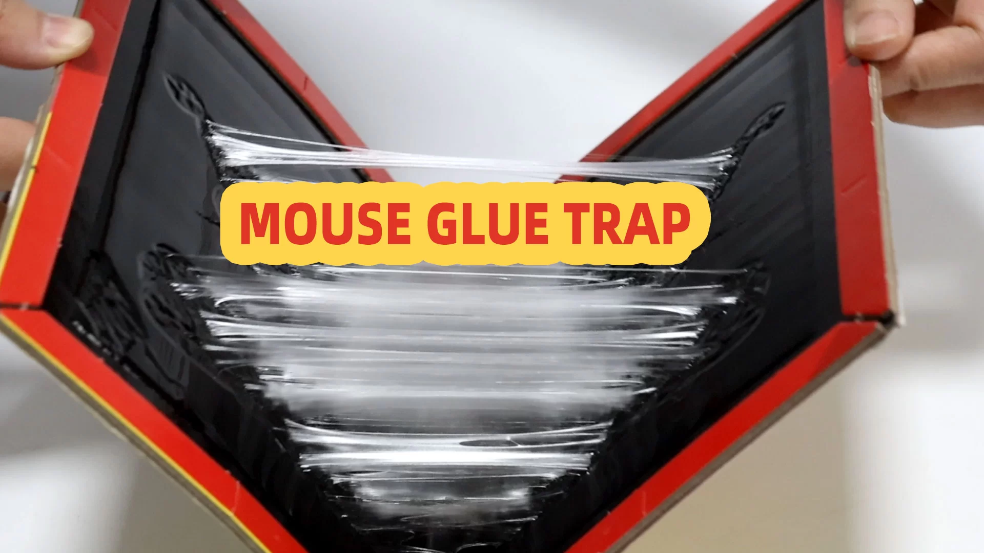 Comment utiliser les pièges à colle de souris efficacement