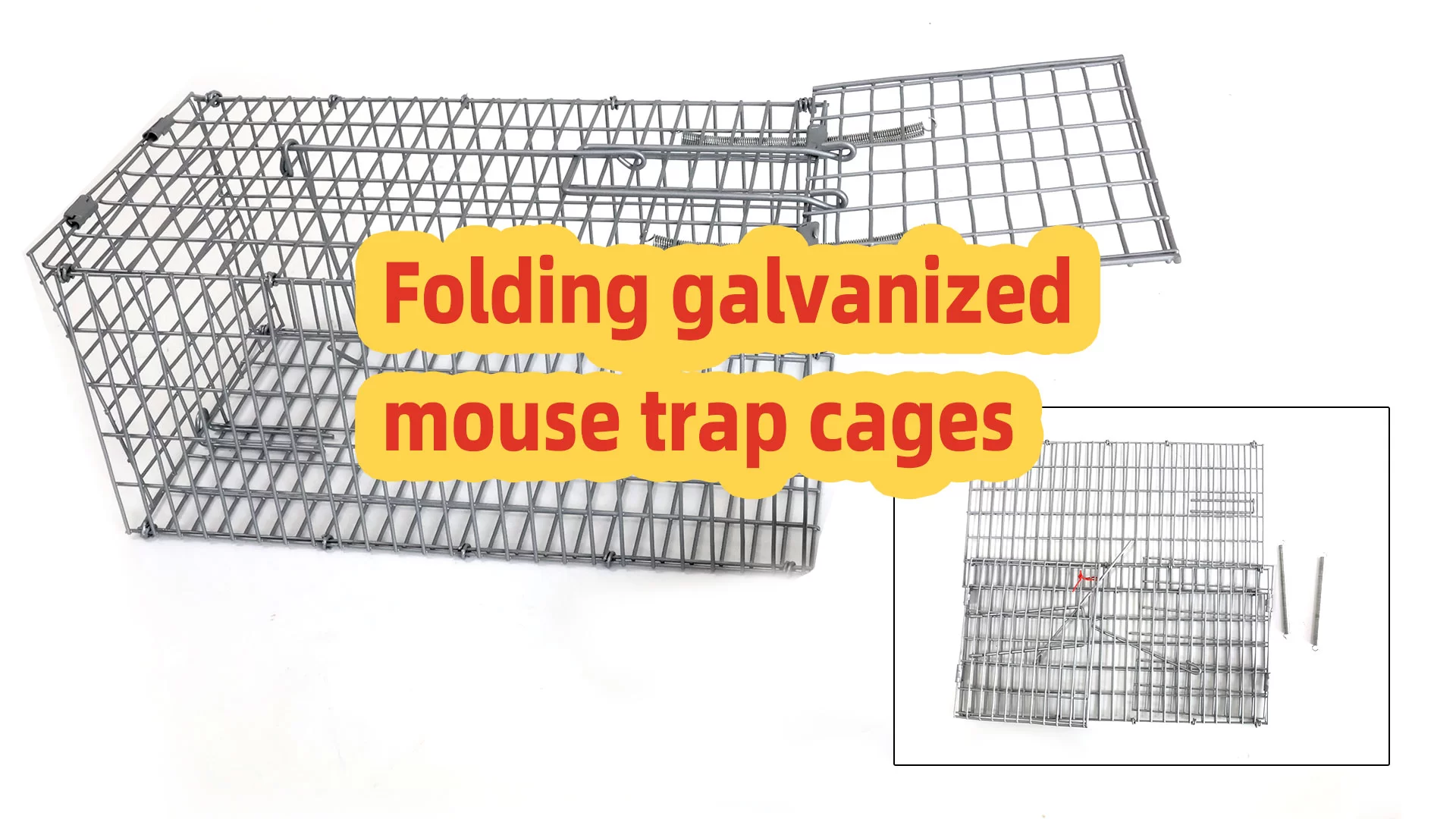 Guide de configuration de piège à souris pliable galvanisé: cage durable et réutilisable