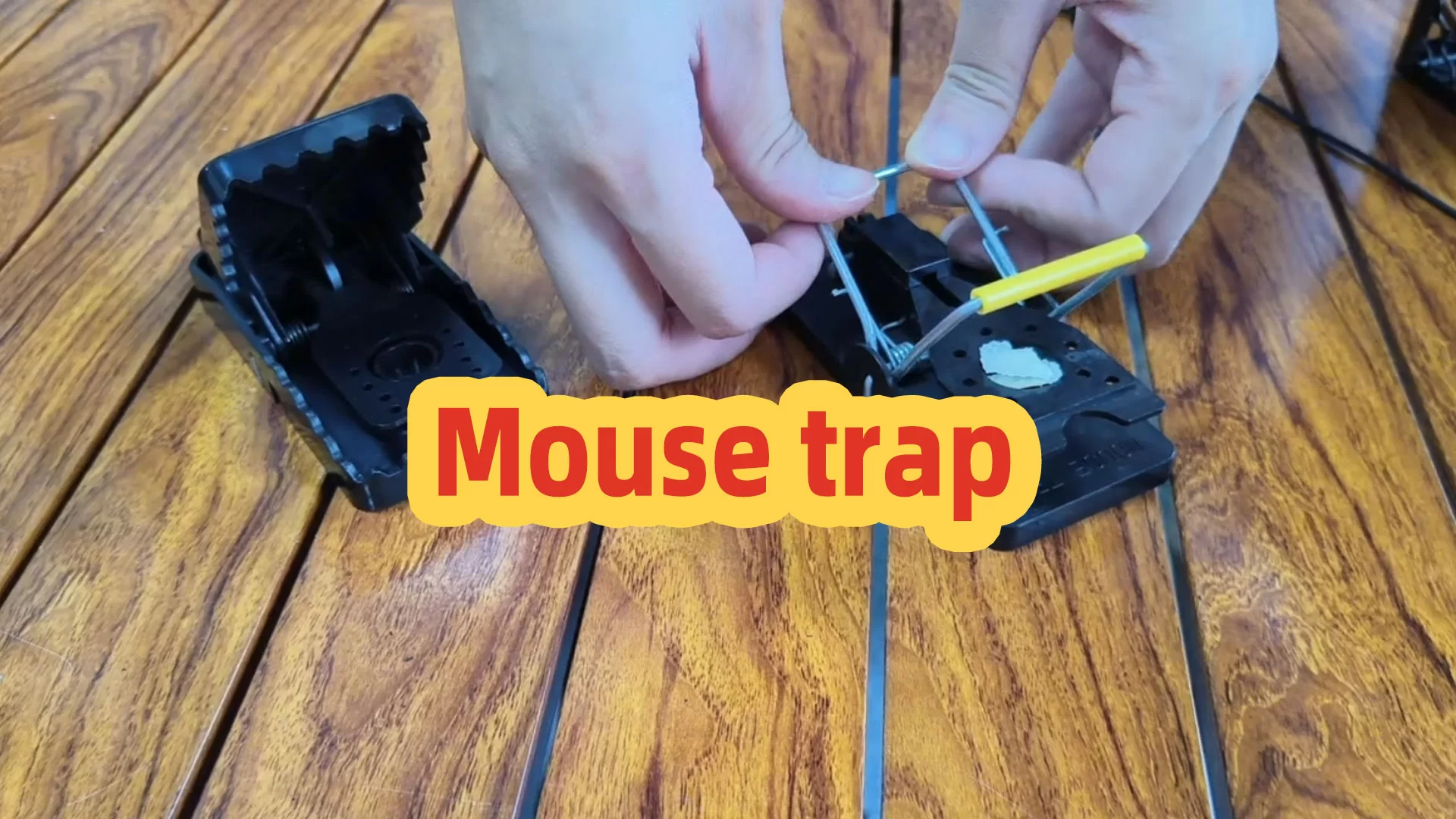 Comment utiliser des pièges à souris comme un pro: attraper les souris rapidement sans gaspiller l’appâte