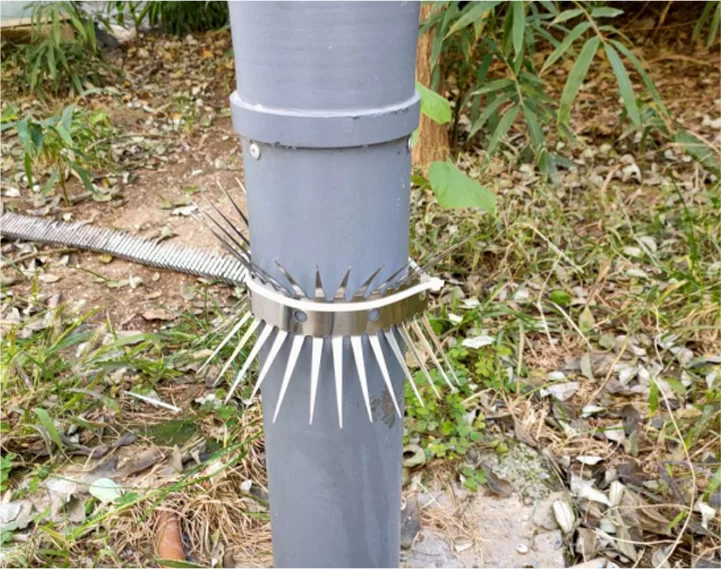 Spikes anti-souris: barrières physiques pour la prévention éco-consciente