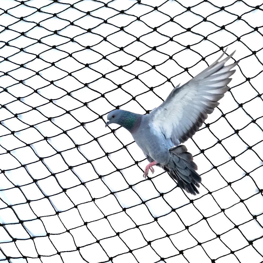 filet anti oiseau